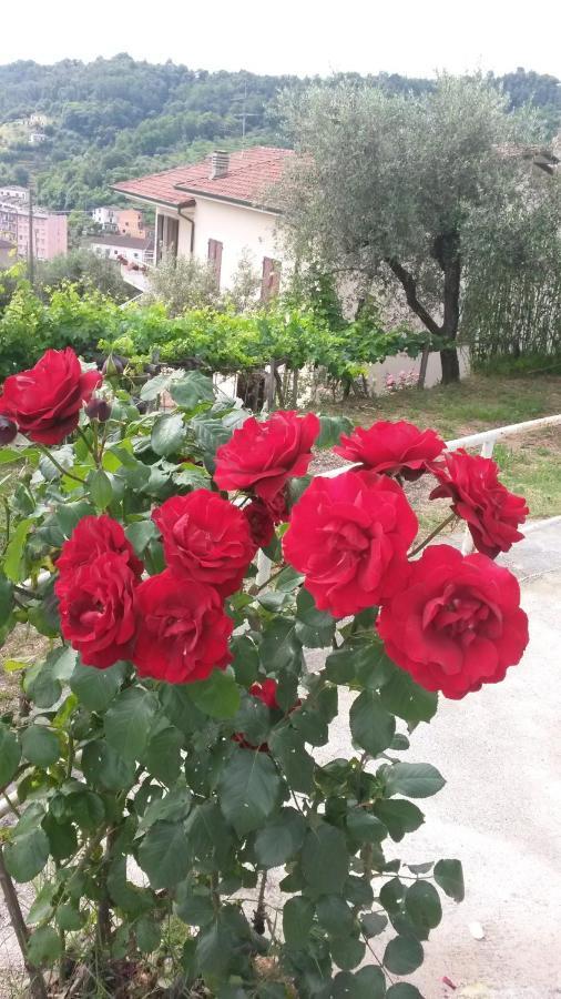 Casetta Del Nonno Bis Arcola Ngoại thất bức ảnh